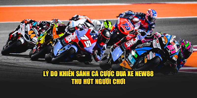 Lý do khiến sảnh cá cược đua xe NEW88 thu hút người chơi