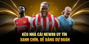 Kèo Nhà Cái New88 Uy Tín, Xanh Chín, Dễ Dàng Dự Đoán