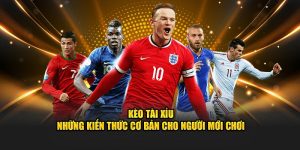 Kèo Tài Xỉu – Những Kiến Thức Cơ Bản Cho Người Mới Chơi